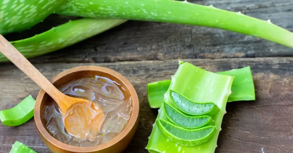 What is Aloe Vera